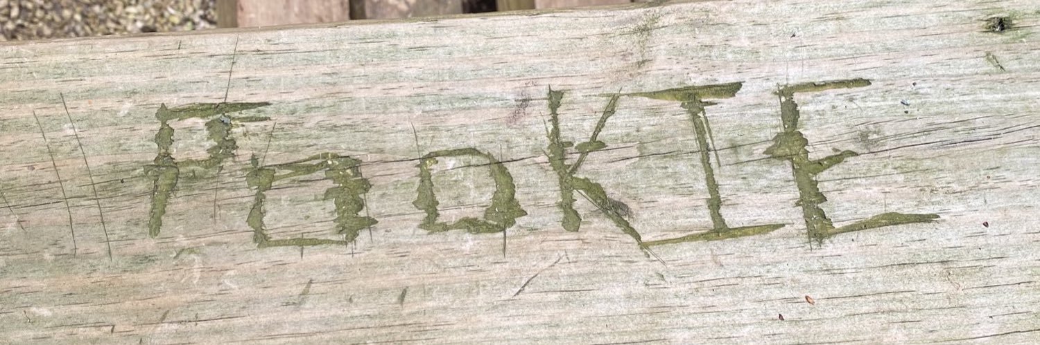 Andrew McCallister banner