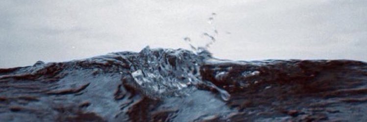 Lucia banner