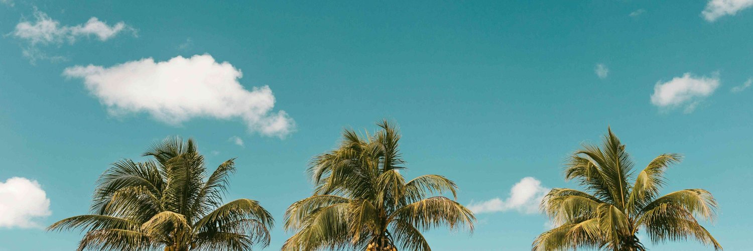 Alessandro Ravanetti banner