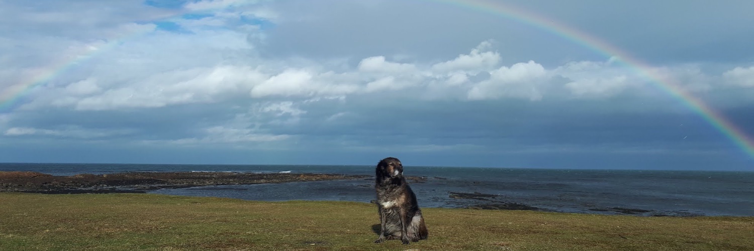 fionamhale's profile banner image