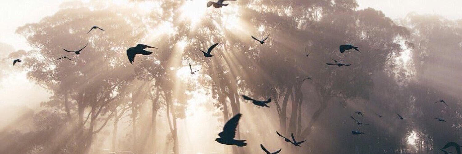 دلال🌻 banner