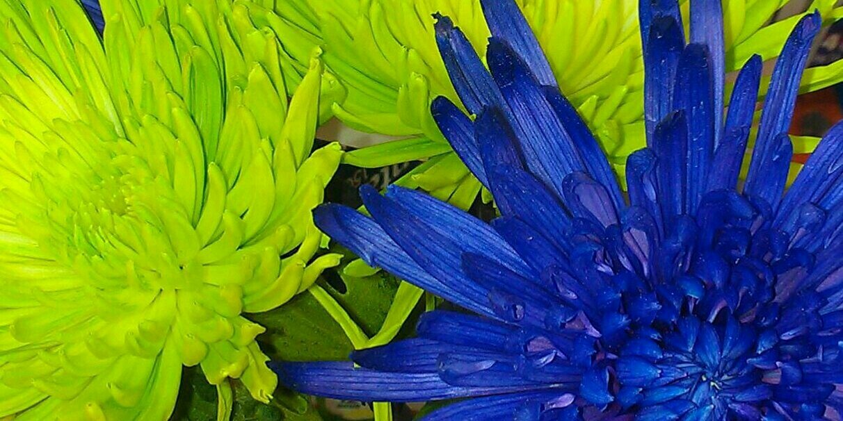 __Jenny12's profile banner image