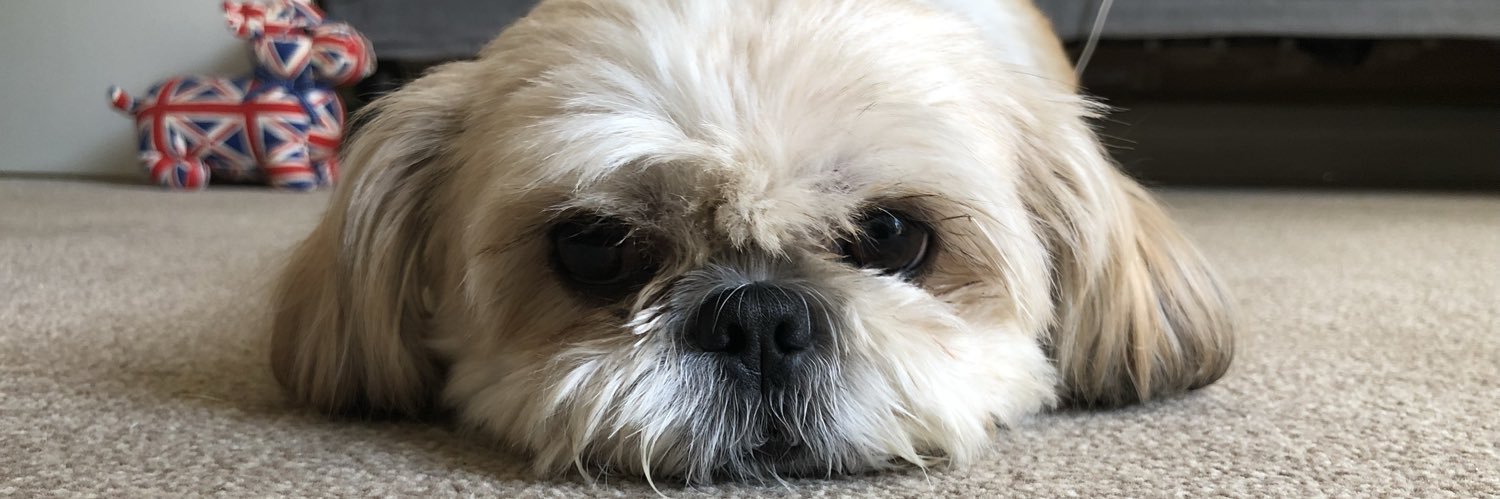 LordTodWadley's profile banner image