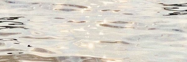 LottiesxWorld Profile Banner