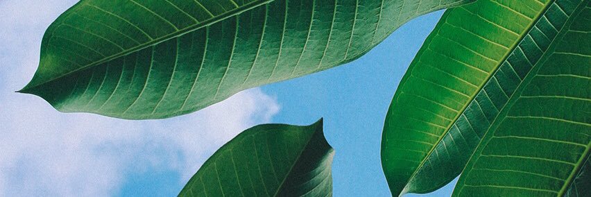 WIKSYYY's profile banner image