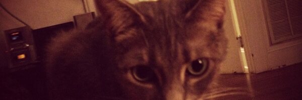 RustySutton Profile Banner