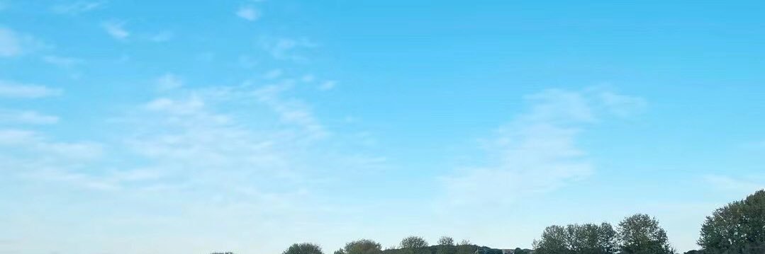 Leo banner