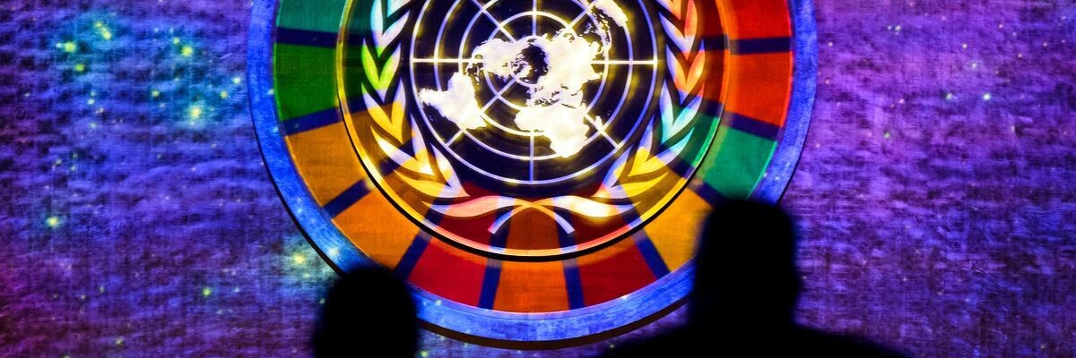 Ireland at UN's banner