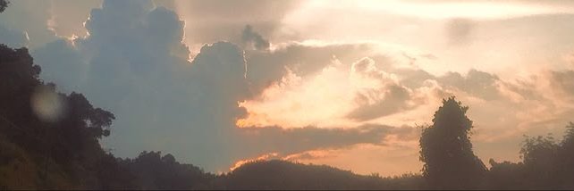 Travis ☀️ banner