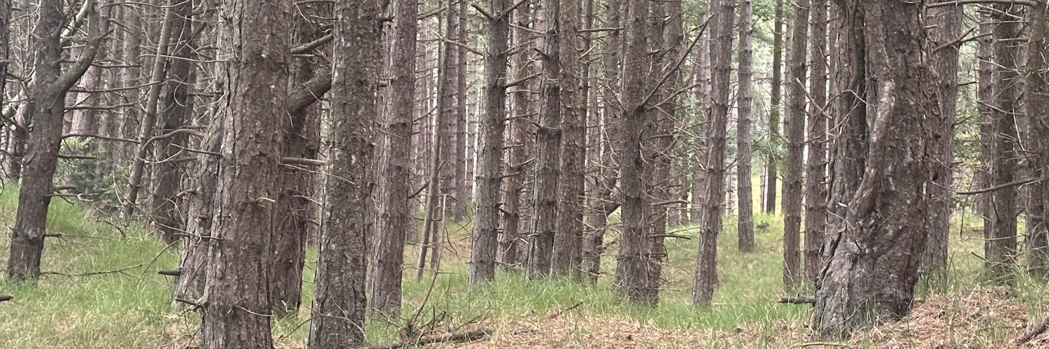 Paul Handleigh banner