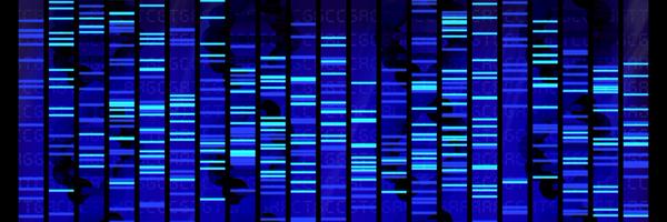 BCCbio Profile Banner