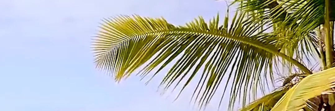BabaTOlanguage's profile banner image
