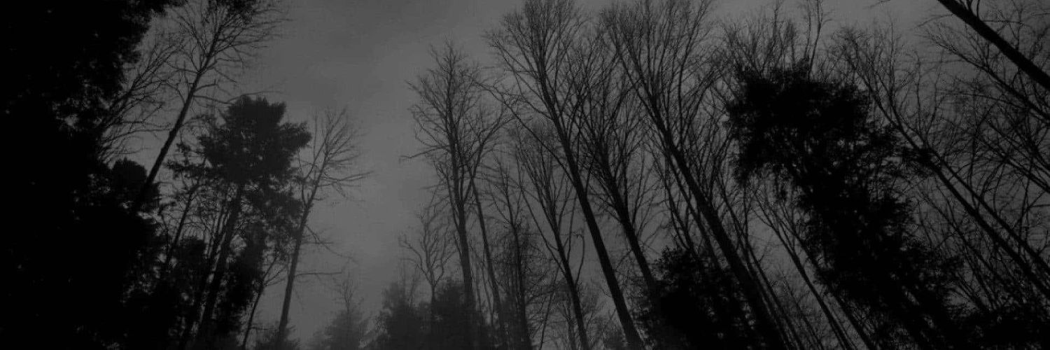 ander (alt/midia)💢 banner