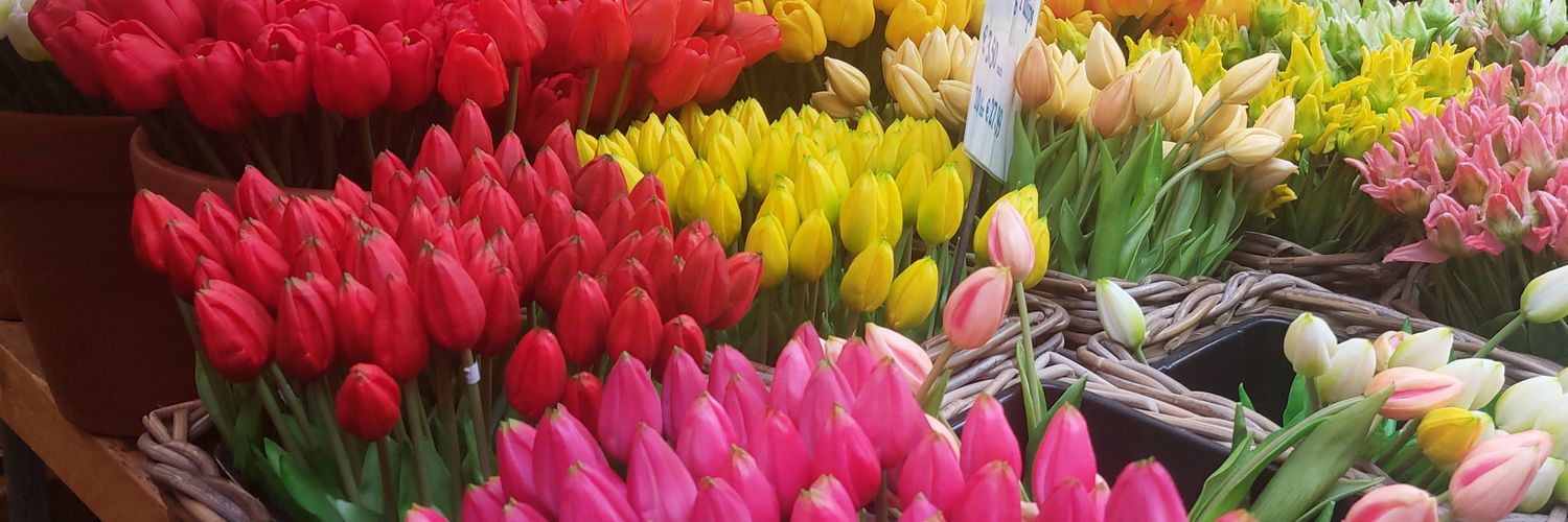maboubour's profile banner image