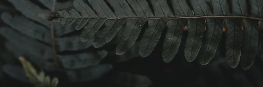 stormierae's profile banner image