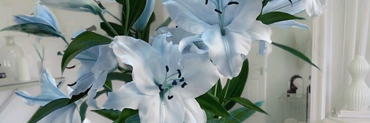 uchftones's profile banner image
