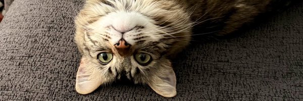 AntBalladarez Profile Banner