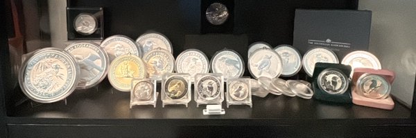 silversaeculum Profile Banner