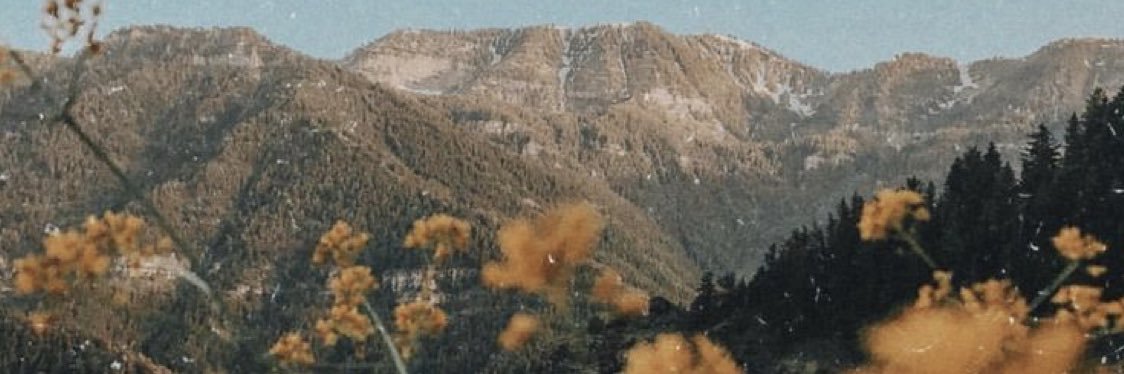 CHANEL PHAM 🌻 banner
