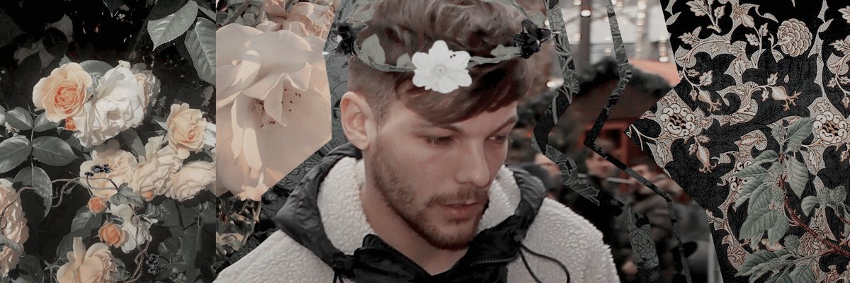 RomiBellora's profile banner image