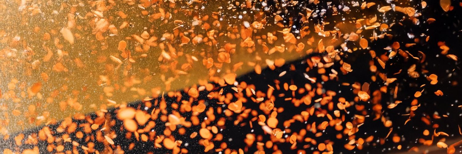 erica 🦋✨ banner