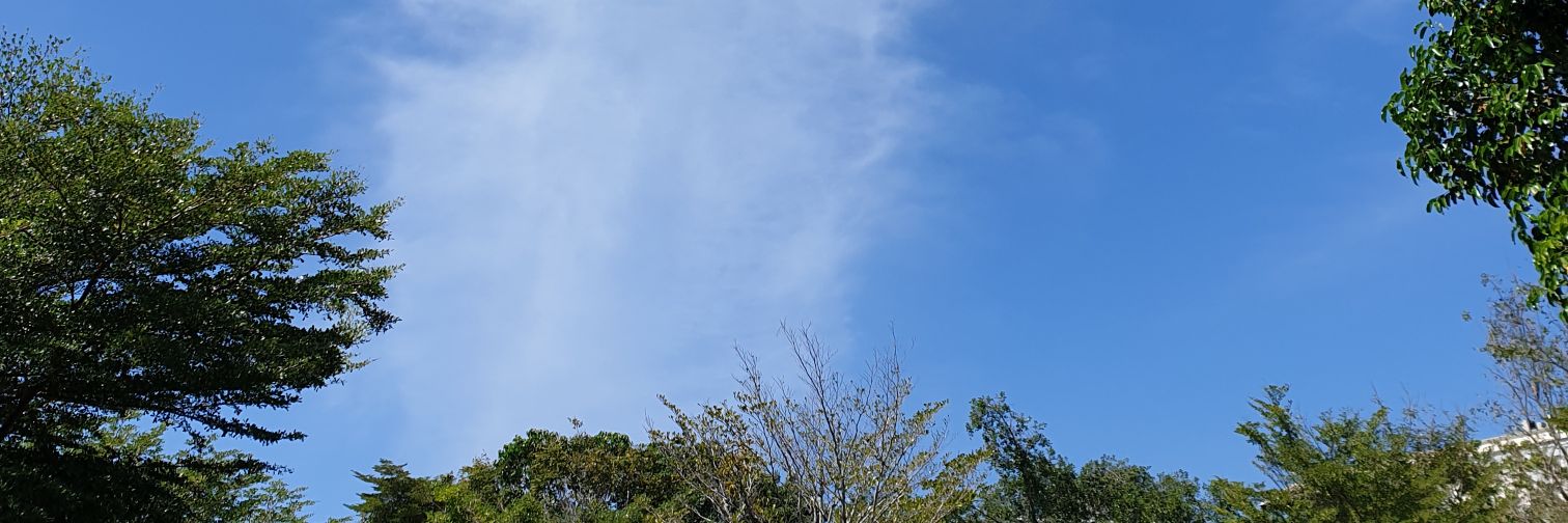mintpkpn's profile banner image