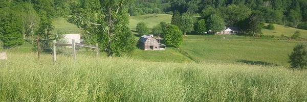 ratcliffedavide Profile Banner