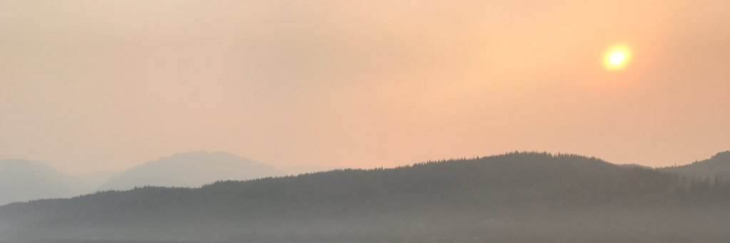 ActuallyaDino's profile banner image