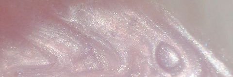 冬 banner