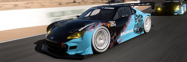 valhalla_sim Profile Banner