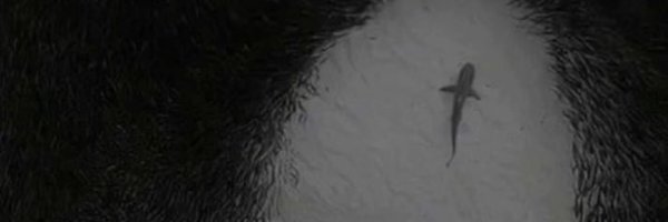 scxar7K Profile Banner