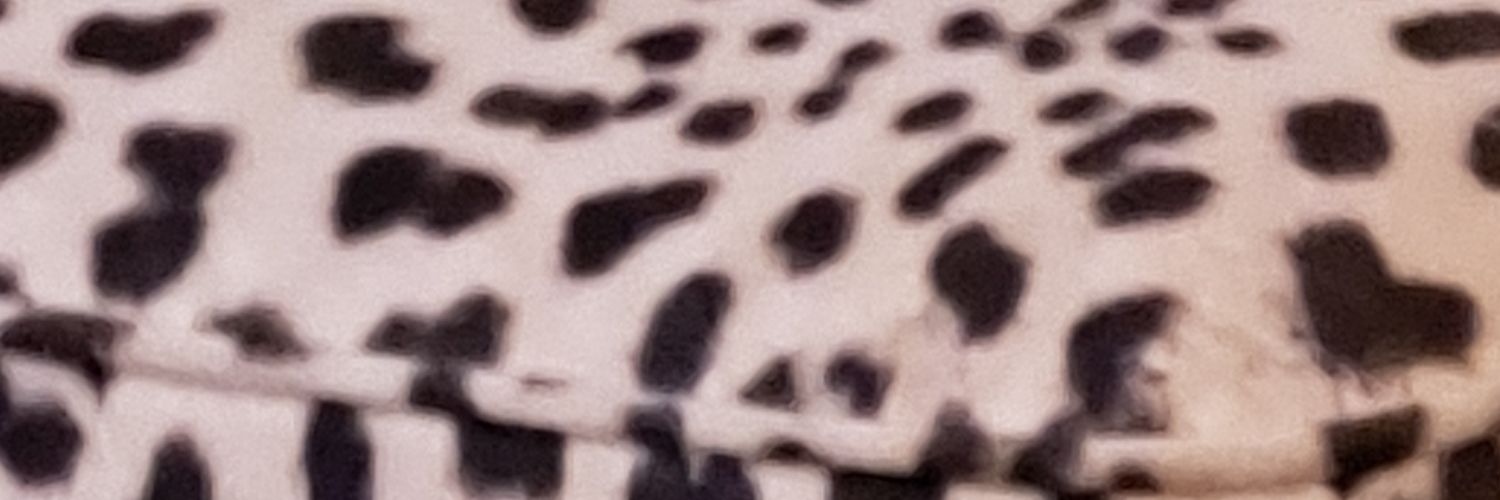 Helenceri's profile banner image