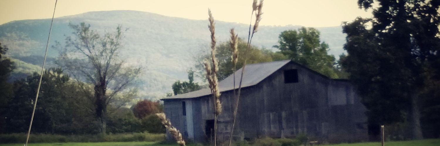 matthew childers banner