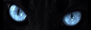 daddyzhee's profile banner image