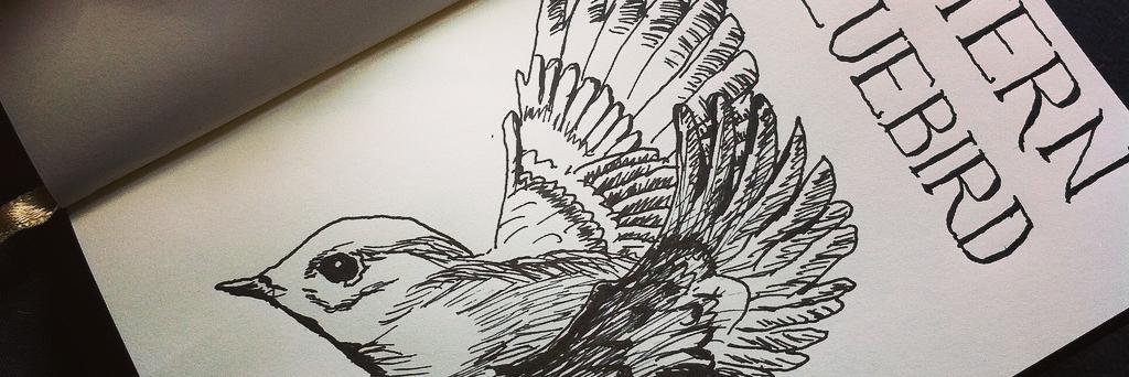 DanaSaylor's profile banner image