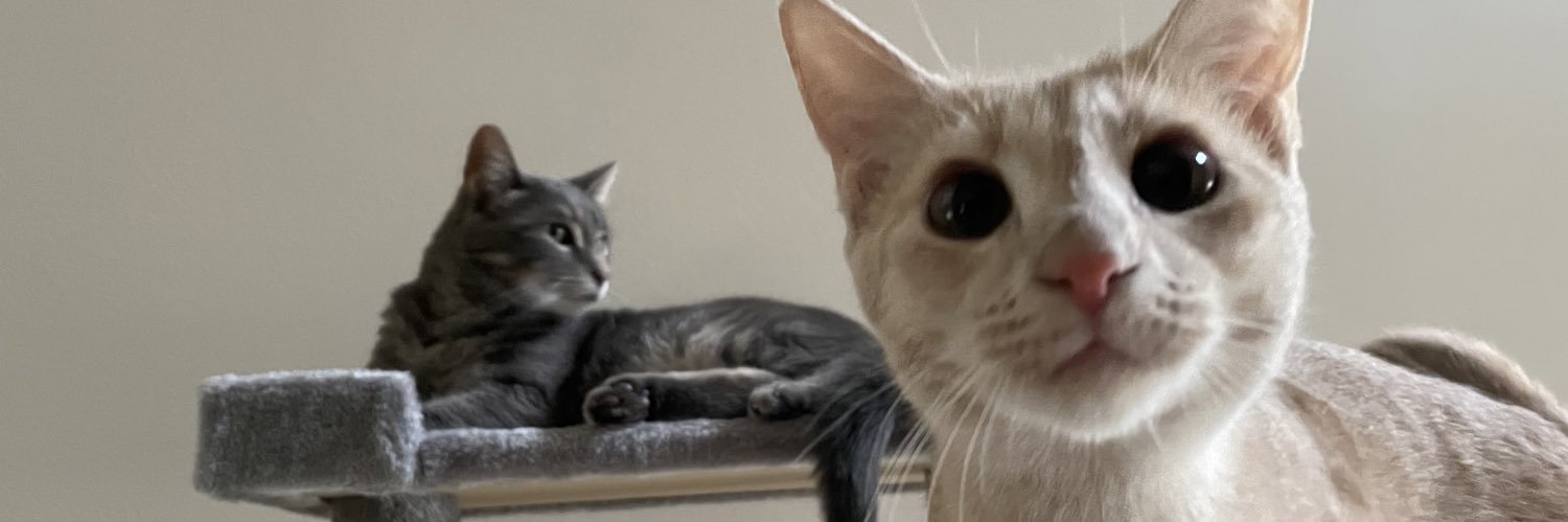 daveeeeeeeeeed's profile banner image