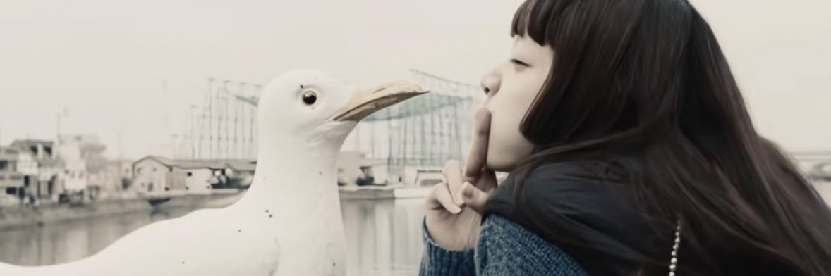 のんかん🦭 banner