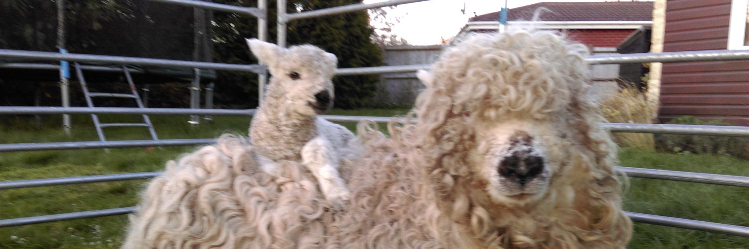 GrumpyOldMatt's profile banner image