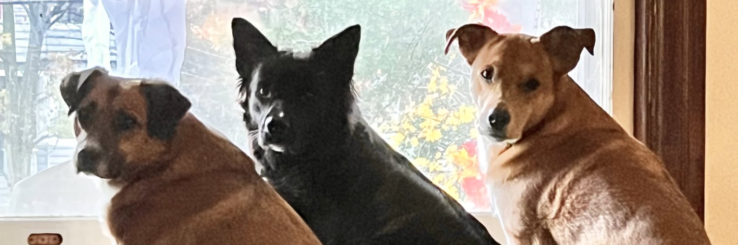 SaraCPeters's profile banner image