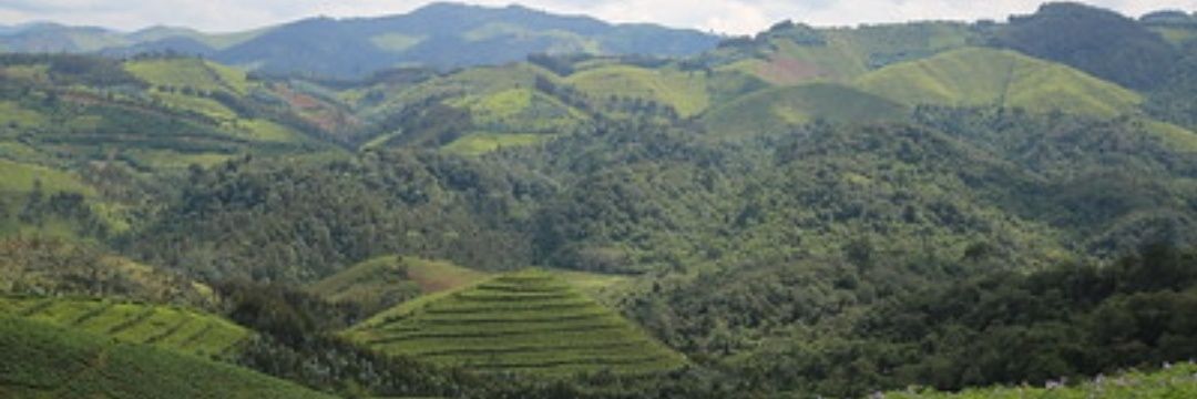 Emmanuella M. Munyangaju banner
