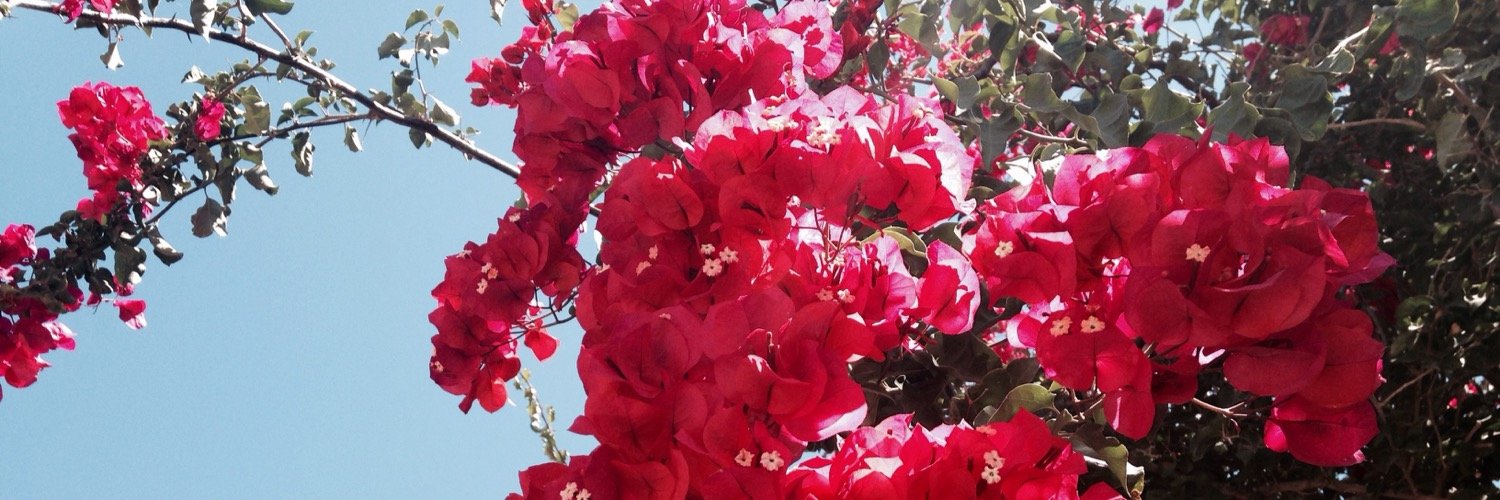 auratf's profile banner image