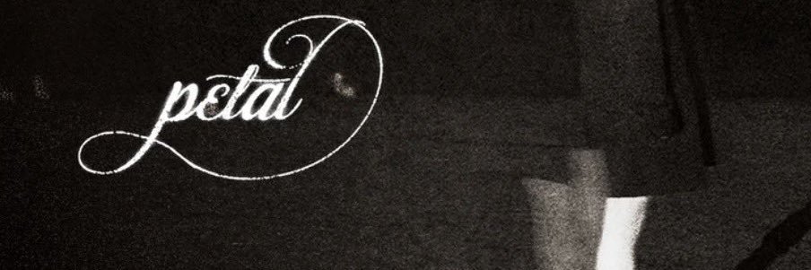lucy ❀ banner