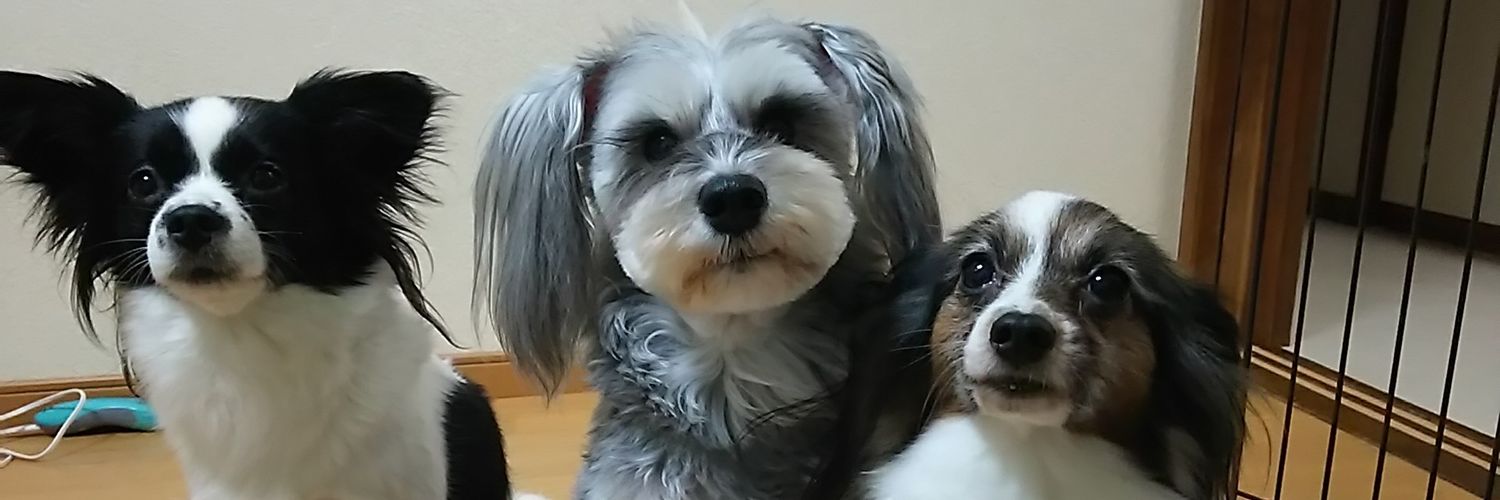 leitiro's profile banner image