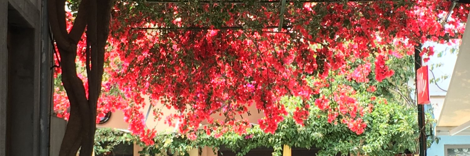 Christine Ecart Duplessy banner