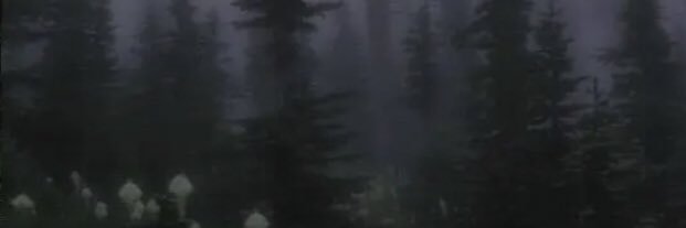 🍂🍄𝔚𝔦𝔩𝔩𝔬𝔴🦇🌙 banner