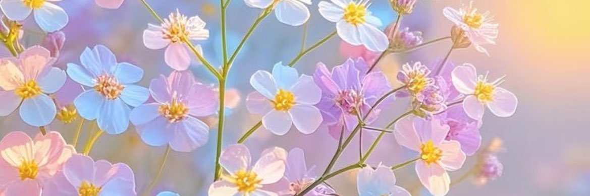 TheSassyAngel's profile banner image