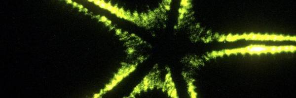 dixondrew's profile banner image