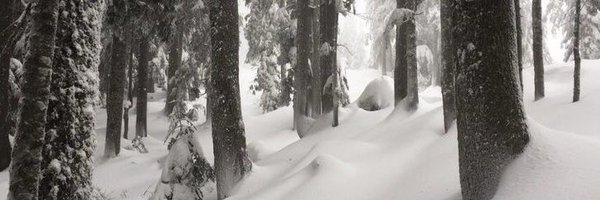 bunirino Profile Banner