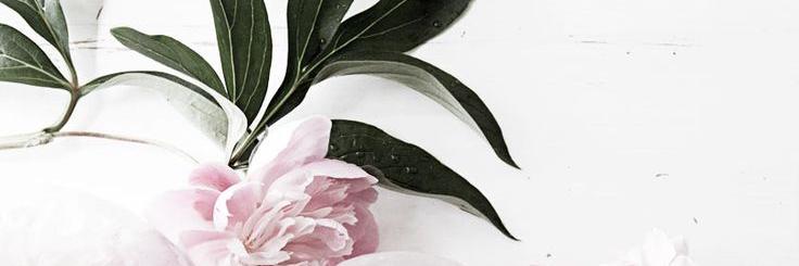 prettyprovoking's profile banner image