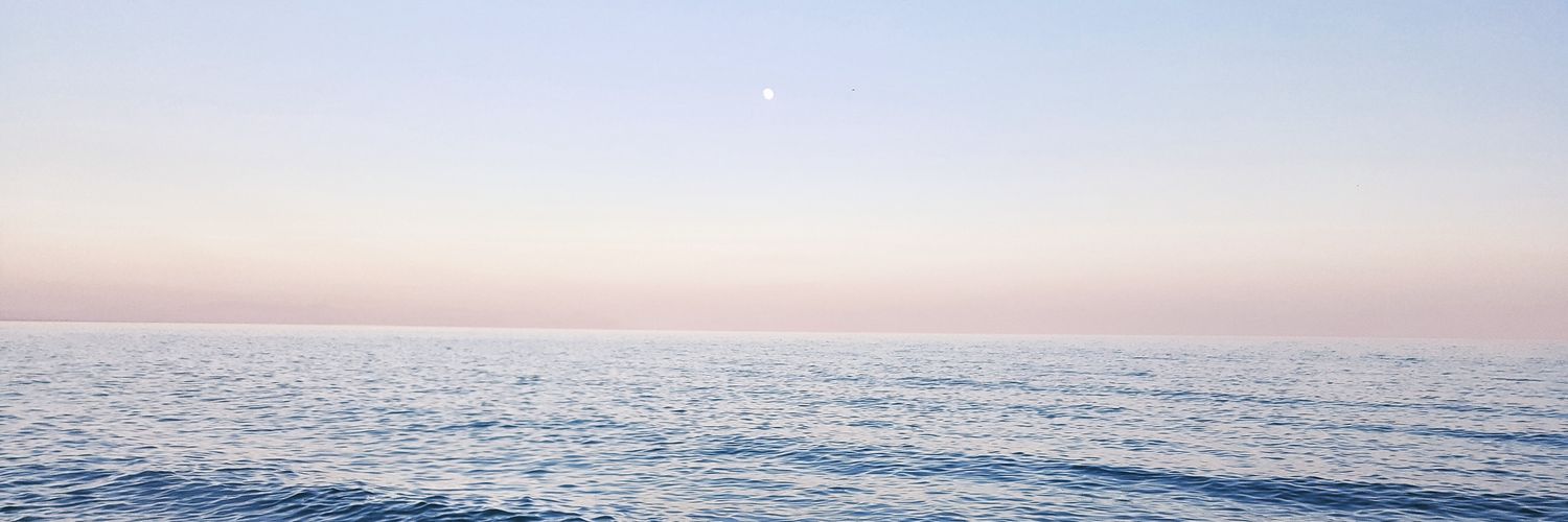 Desii 🌈🌻 banner